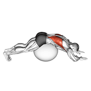 Animated demonstration of the exercise ball lower back stretch (pyramid)