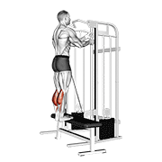 Animated demonstration of the cable standing calf raise